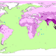 Illustration for article titled Will 50 percent of vertebrates go extinct over the next century?